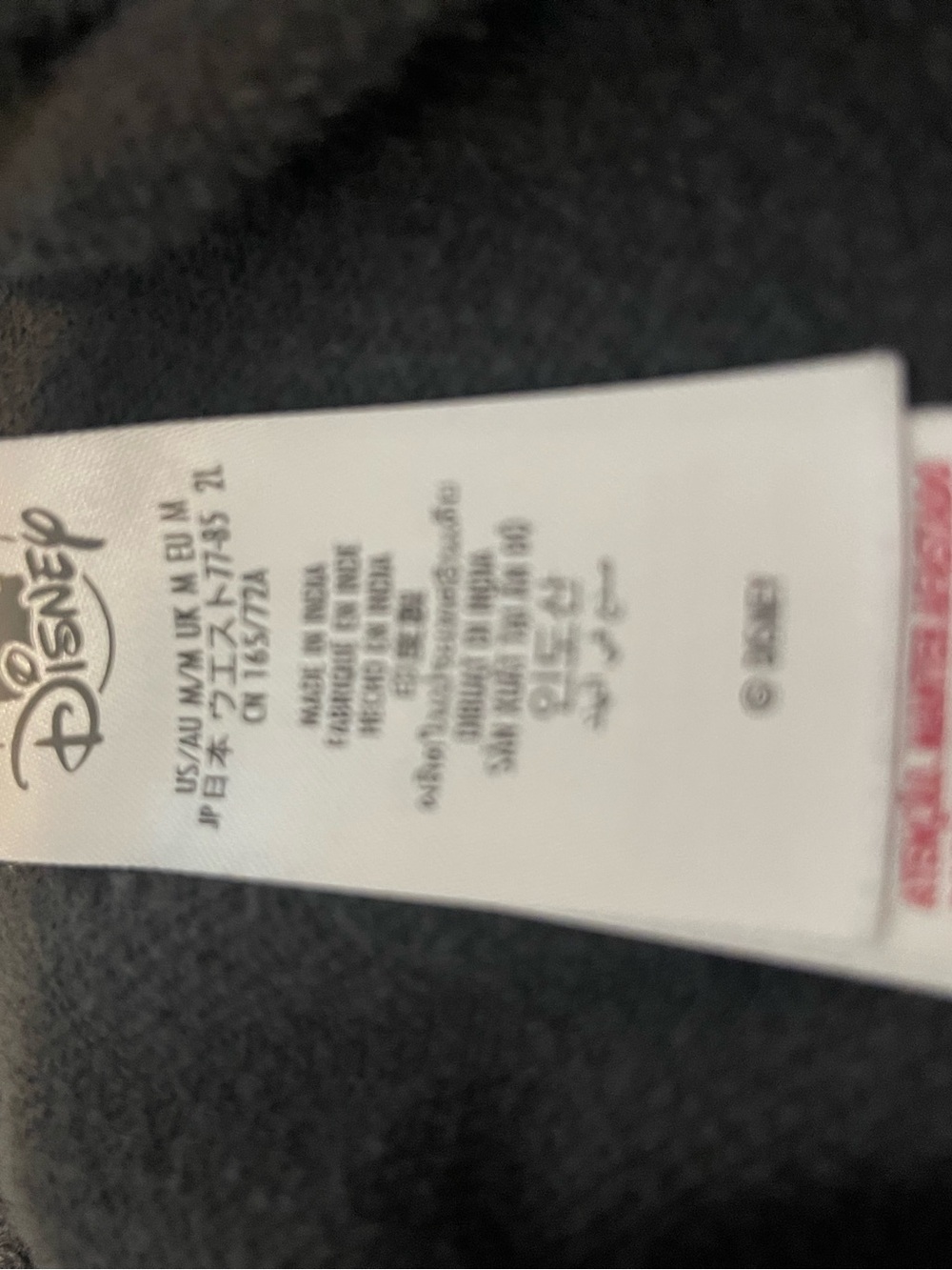 Disneyland Resort Embroidered Mickey Sweat pants - Charcoal Gray - Picture 6 of 8